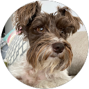 Fatima Pino profile picture