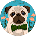 Beverly Dean profile picture